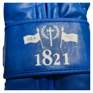 Πυγμαχικά γάντια Boxing Pro Hellas 1821 - Blue Fitness