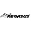 Pegasus